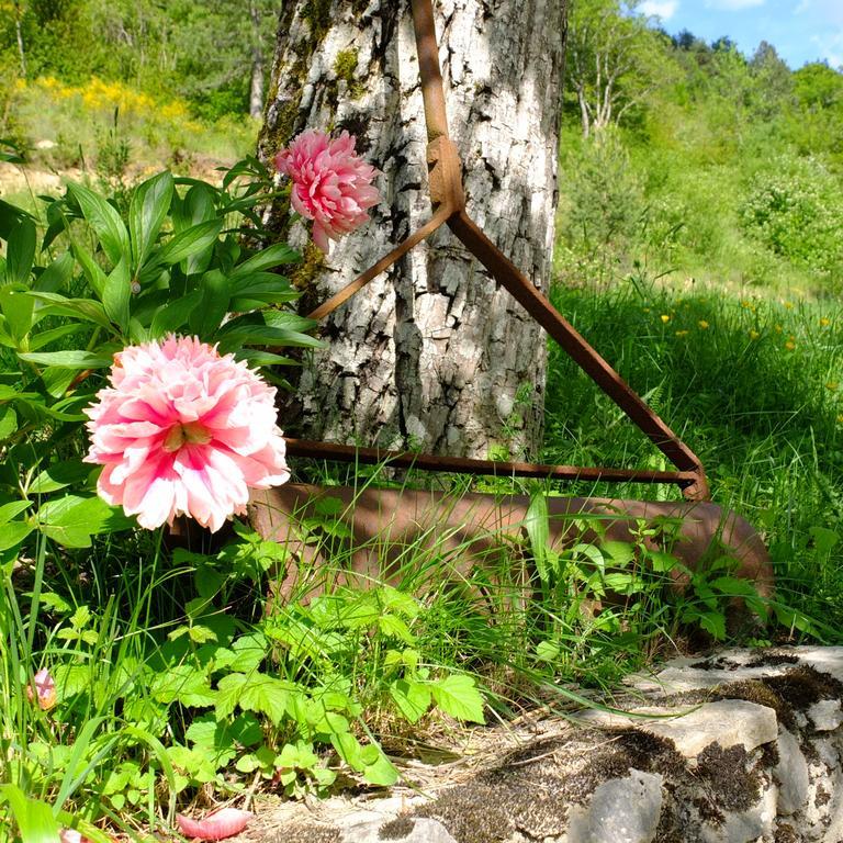 La Sauvaniere Menée Dış mekan fotoğraf